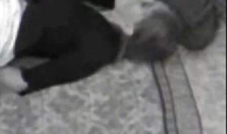 Estoy con videos poro mi esposa.