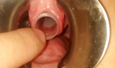 Curiosa chica se preguntó buena mirada videos xxx gordas preguntó